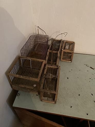 деревяные ящики: Индивидуальные изделия под заказ клетки для пичи птиц из дерева из — 7