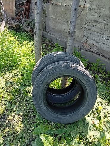 шина 195 65 15 лето: Шины 195 / 65 / R 15, Лето, Легковые, GoodYear — 3