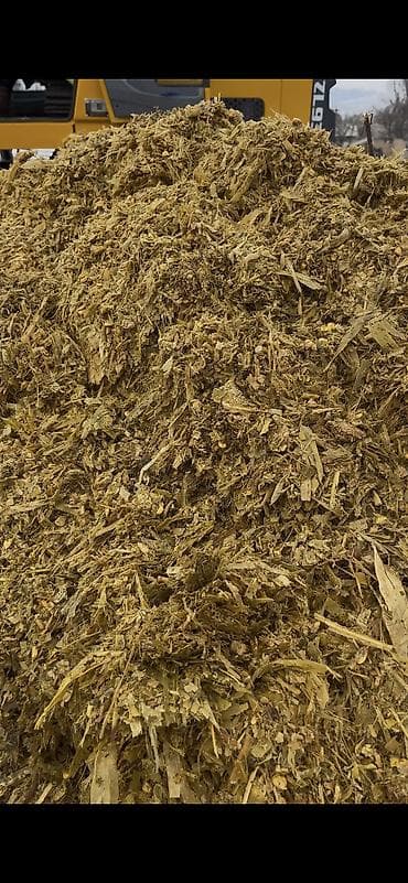 мака кукуруз: Кукурузный силос в индивидуальных рулонах Адрес Город Кемин село Жол — 8