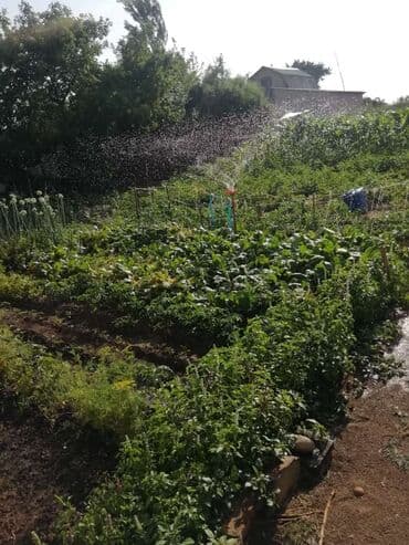 тез арада: Дача, 600 м², 3 бөлмө, Менчик ээси, Косметикалык оңдоо — 6