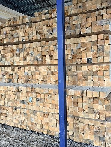 осп ош: Хвоя — 3