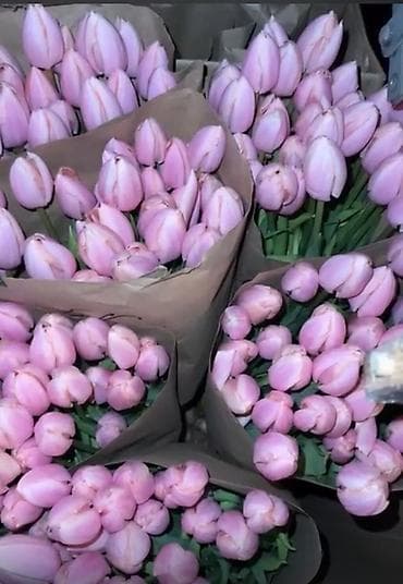 упаковка цветов: Тюльпаны в крафтовой упаковке - Сорта: розовые (нежные пастельные — 3