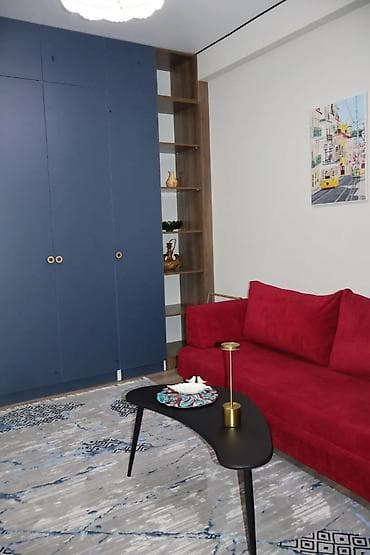 flat osh: 1 комната, 35 м², Пишпек Элитка, 8 этаж, Евроремонт — 8