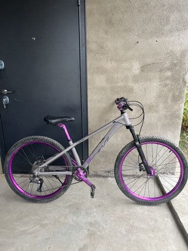 велосипеды бишкек дордой: Тоо велосипеди, Skillmax, Велосипед алкагы M (156 - 178 см), Алюминий, Колдонулган — 4