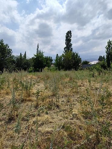 участок село тон: 15 соток — 4