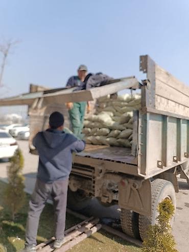 Брусчатка, тротуарная плитка: Вывоз мусора — 4