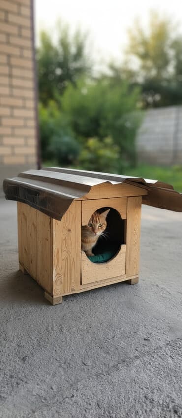 домик для сабак: Мопс, 1 месяц, Самец, С родословной — 1