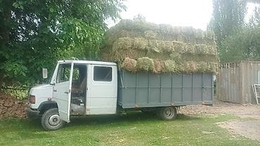 mini coper: Грузовик, Mercedes-Benz, Дубль, 5 т, Новый — 1