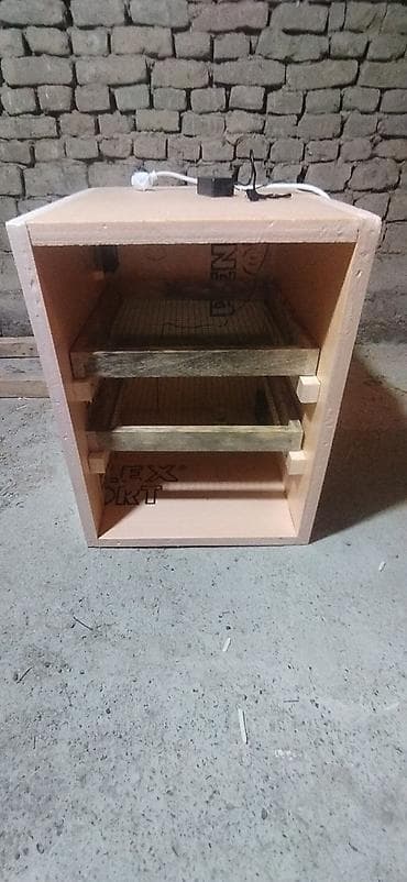 Город Ош 🚩 Инкубатор/ самодельный для цеплят и птиц
полуавтомат at lalafo.kg Город Ош 🚩 Инкубатор/ самодельный для цеплят и птиц
полуавтомат