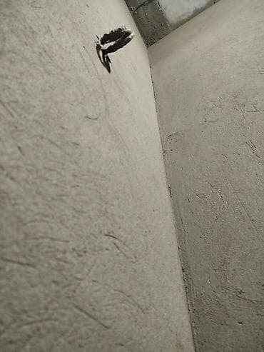 шпаклёвка жумуш: Дубалдарды шыбоо 6 жылдан ашык тажрыйба — 3