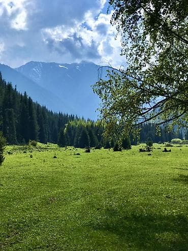 Jetour: 🌄 Откройте для себя дикие красоты с нашими джип-турами по горам! 🌄 — 6