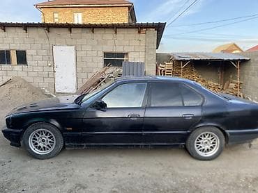 BMW: BMW 5 series: 1992 г., 2.5 л, Бензин — 7