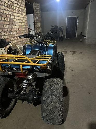 авто элек: Квадроцикл Бензин, 260 куб. см, Чоңдор үчүн — 4