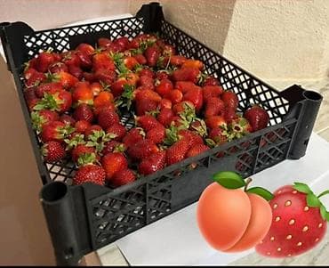 зелёный абрикос: Ящик — 2