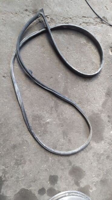 где купить саженцы гортензии в бишкеке: Nissan Skyline v35 уплотнитель двери, Ниссан Скайлайн v35 дверной — 1