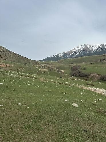 село канстантиновка дом: 15 соток, Для бизнеса, Красная книга — 8