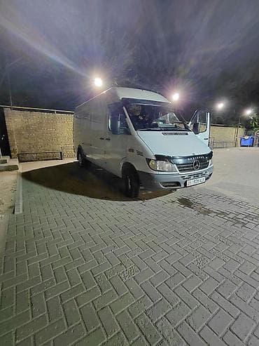 бензо пилы: Такси Такси Такси первозим домашных жывотных,Собака,кошек и.т.д — 4