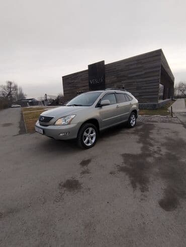 Lexus RX: 2004 г., 3.3 л, Автомат, Бензин, Кроссовер