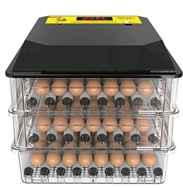 заводской инкубатор: Инкубатор — 1