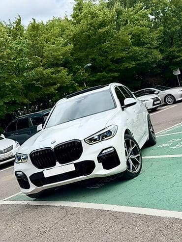 geely e5: BMW X5: 2020 г., 3 л, Автомат, Бензин, Внедорожник — 3