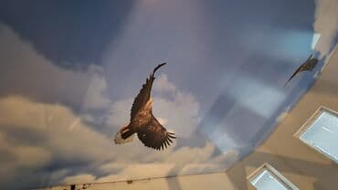 пластиковые панели на потолок фото и цена бишкек: Натяжной потолок Матовое, Глянцевое — 18