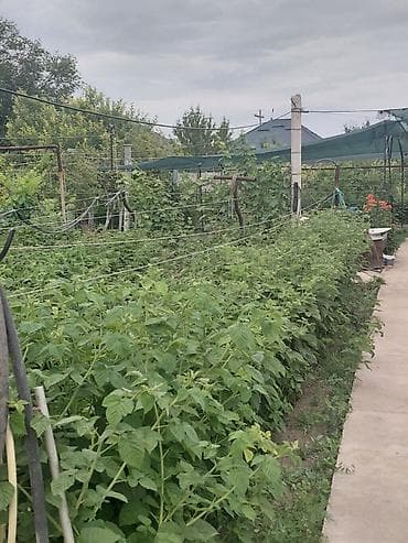бишкек участка: 17 соток, Бизнес үчүн, Сатып алуу-сатуу келишими, Белек келишими — 9
