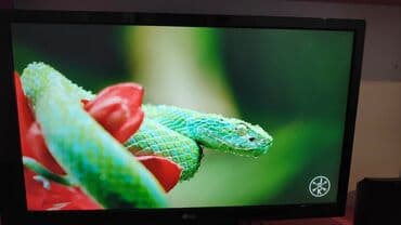 Монитор, LG, Б/у, 21" - 22"