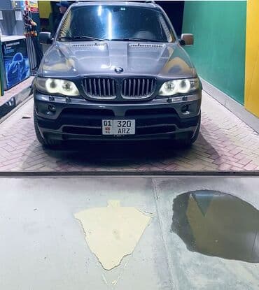 домкрат для авто: BMW X5: 2004 г., 4.4 л, Автомат, Газ, Внедорожник — 1