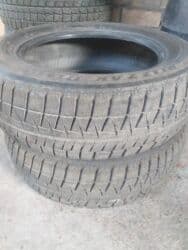 at шины: Шиналар — 2