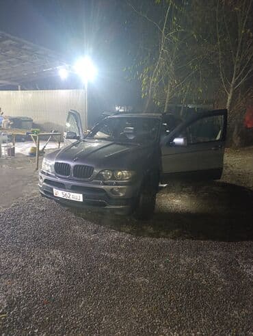 тракторы шина: BMW X5: 2005 г., 4.8 л, Автомат, Бензиновая, Кроссовер — 11