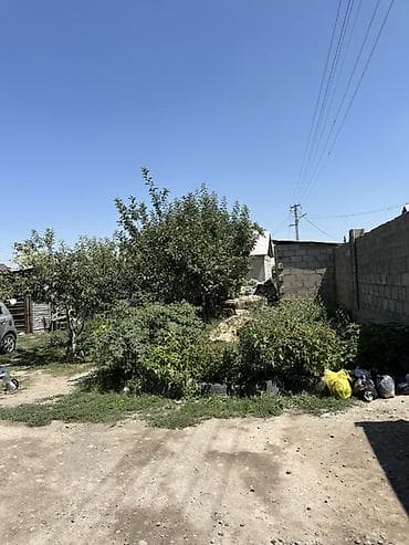 400: Инвестиция учун эн, сонун сунуш! 1 Тендик конушу, БІнтымак кочесу — 4