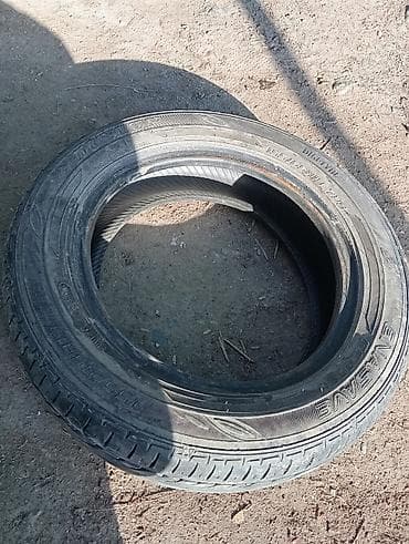 r13 17570: Шины 155 / 65 / R 13, Лето, 1 шт, Легковые, Dunlop — 2