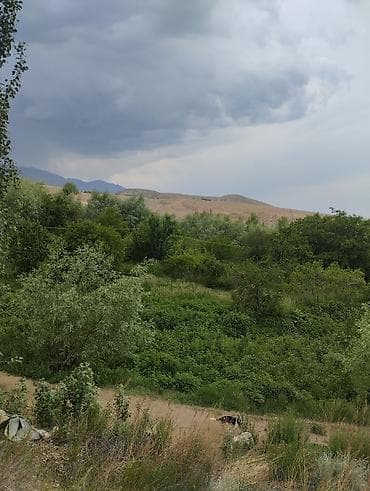 фучика 18 а: 60 соток, Для сельского хозяйства, Красная книга, Тех паспорт — 10