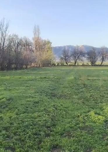 12 соток, Для строительства, Красная книга, Договор купли-продажи