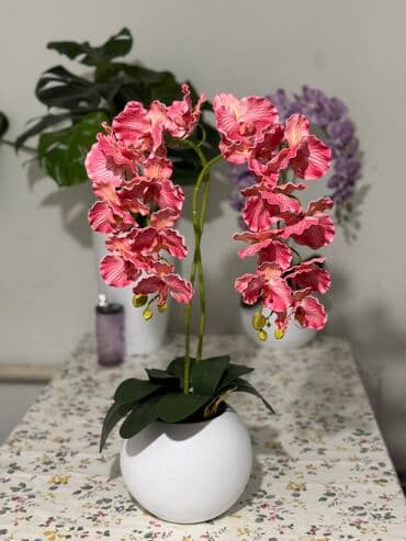 садовый дом: Декор для дома и сада — 1