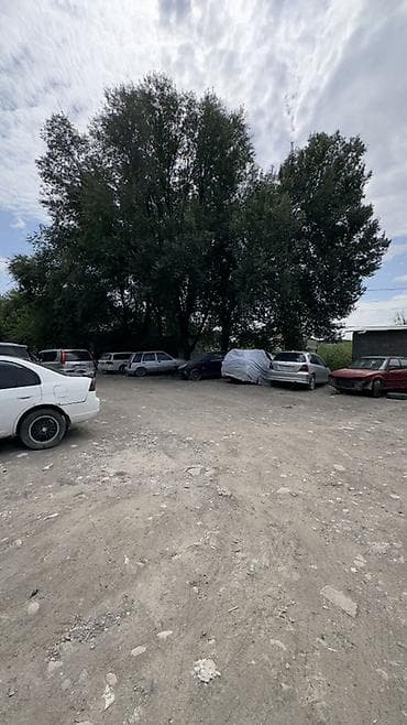 акорд сл7: Honda Accord: 1995 г. — 7