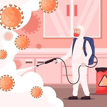 Клининговые услуги: Дезинфекция, дезинсекция, | Блохи, Вирусы, микробы, Клопы, | Офисы, Подъезды, Дворы — 1