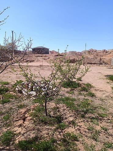 Продажа участков: 10 соток, Красная книга — 5