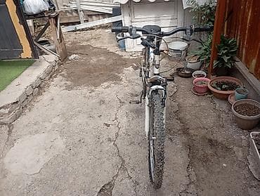 engine 11: Горный велосипед, Alton, Сталь, Б/у — 4