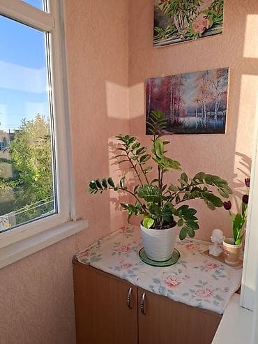 2 room flat: 3 комнаты, 58 м², 104 серия, Косметический ремонт — 9
