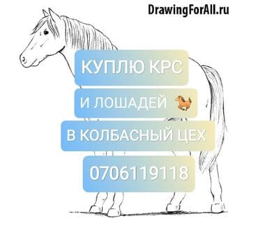 домик для животных: Куплю | Лошади, кони, Коровы, быки | Круглосуточно, Любое состояние, Забитый — 1