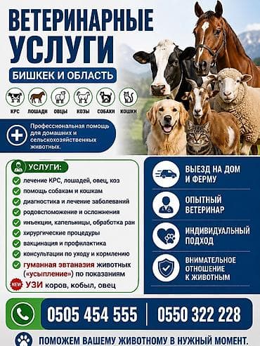 🐾 ВЕТЕРИНАРНЫЕ УСЛУГИ — БИШКЕК И ОБЛАСТЬ Профессиональная