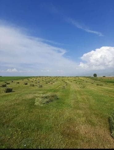 Земля сельхоз назначения 90 соток в с Калиновка не далеко от села