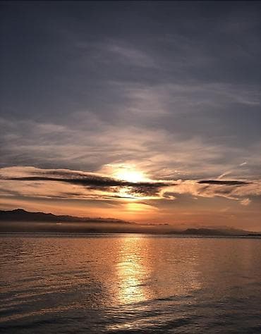 участок новостройка: 6 соток, Для бизнеса, Красная книга, Договор купли-продажи — 4