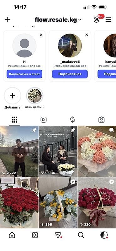 тульпаны оптом: Привет! Мы — Flow.resale.kg Работаем онлайн в Instagram, Telegram — 1