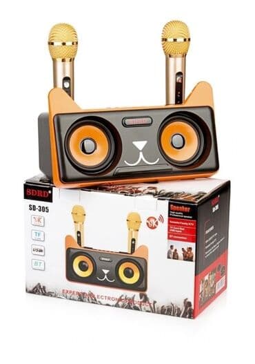 bluetooth speaker: Беспроводная стерео караоке система Кот SDRD SD-305 - это стильная и — 1