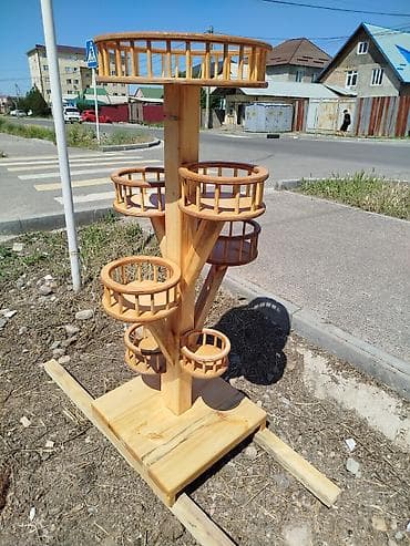 Полка, этажерка для цветов, Новый, Дерево, Самовывоз