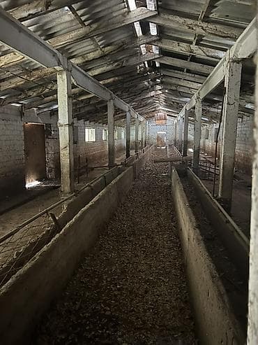 работа в швейный цех: Сельскохозяйственные корпуса/сараи под фермерство Описание: - — 2