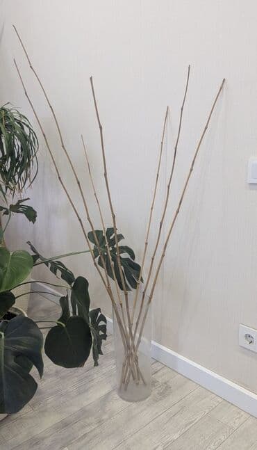 Азык-түлүктөр: 1)Бамбуковые стебли (тростники) для декора и садовых работ. 2)Панно — 8