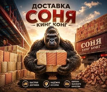 Пустотелый, дырчатый, Жженый кирпич, Полублок, 250×120×90